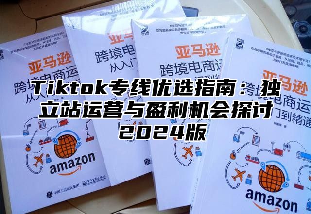 Tiktok专线优选指南：独立站运营与盈利机会探讨 2025版