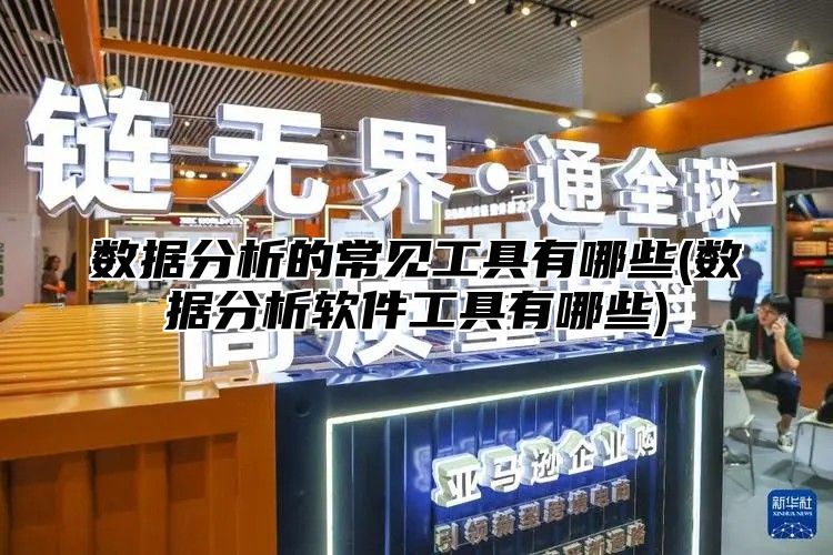 数据分析的常见工具有哪些(数据分析软件工具有哪些)