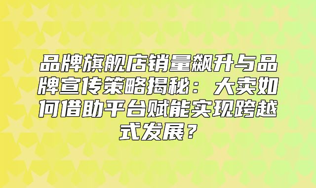 品牌旗舰店销量飙升与品牌宣传策略揭秘：大卖如何借助平台赋能实现跨越式发展？