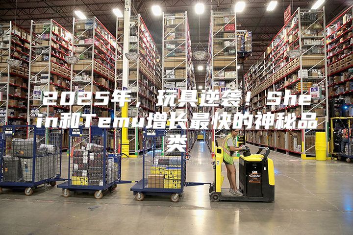 2025年，玩具逆袭！Shein和Temu增长最快的神秘品类
