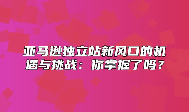 亚马逊独立站新风口的机遇与挑战：你掌握了吗？