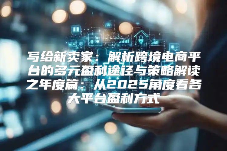 写给新卖家：解析跨境电商平台的多元盈利途径与策略解读之年度篇：从2025角度看各大平台盈利方式