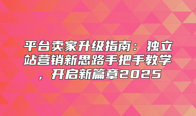 平台卖家升级指南：独立站营销新思路手把手教学，开启新篇章2025