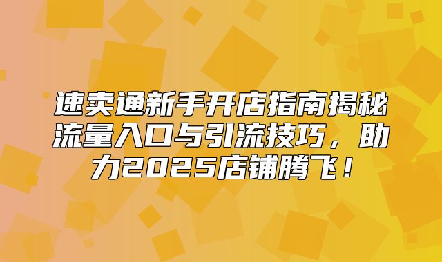 速卖通新手开店指南揭秘流量入口与引流技巧，助力2025店铺腾飞！