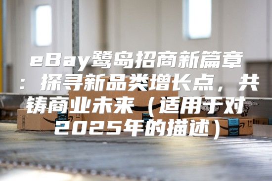 eBay鹭岛招商新篇章：探寻新品类增长点，共铸商业未来适用于对2025年的描述