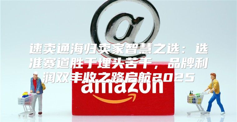 速卖通海归卖家智慧之选：选准赛道胜于埋头苦干，品牌利润双丰收之路启航2025
