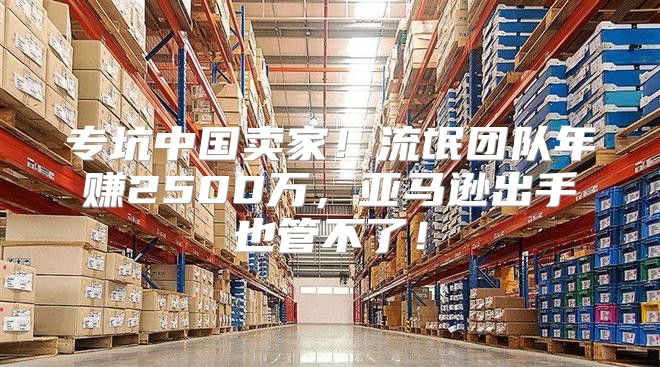专坑中国卖家！流氓团队年赚2500万，亚马逊出手也管不了！
