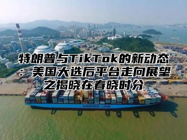 特朗普与TikTok的新动态：美国大选后平台走向展望之揭晓在春晓时分