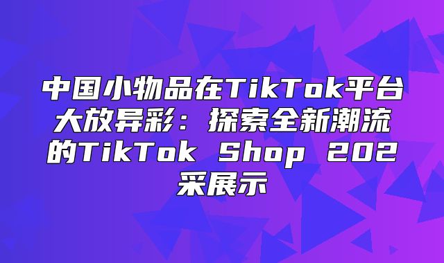 中国小物品在TikTok平台大放异彩：探索全新潮流的TikTok Shop 202采展示