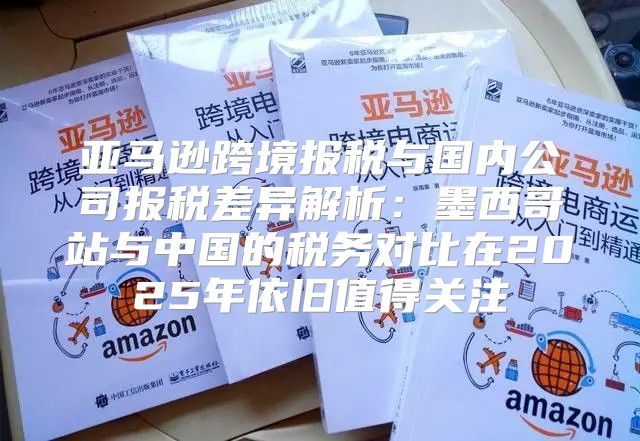 亚马逊跨境报税与国内公司报税差异解析：墨西哥站与中国的税务对比在2025年依旧值得关注