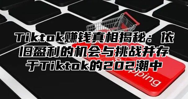 Tiktok赚钱真相揭秘：依旧盈利的机会与挑战并存于Tiktok的202潮中