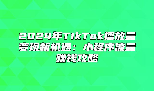 2025年TikTok播放量变现新机遇：小程序流量赚钱攻略