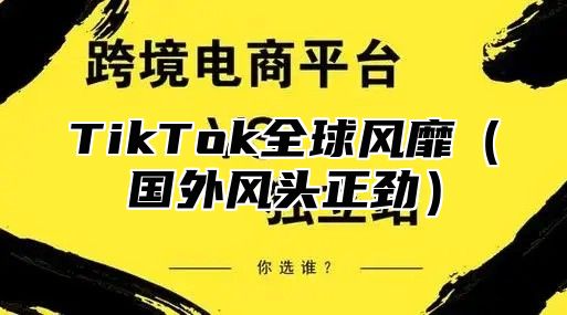 TikTok全球风靡国外风头正劲