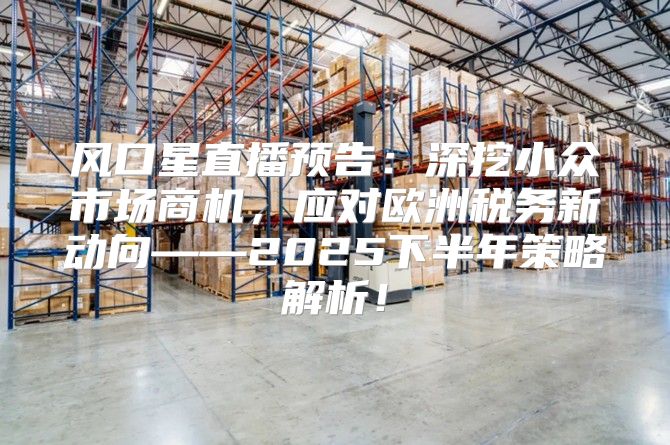 风口星直播预告：深挖小众市场商机，应对欧洲税务新动向——2025下半年策略解析！