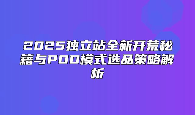 2025独立站全新开荒秘籍与POD模式选品策略解析