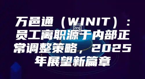 万邑通WINIT：员工离职源于内部正常调整策略，2025年展望新篇章