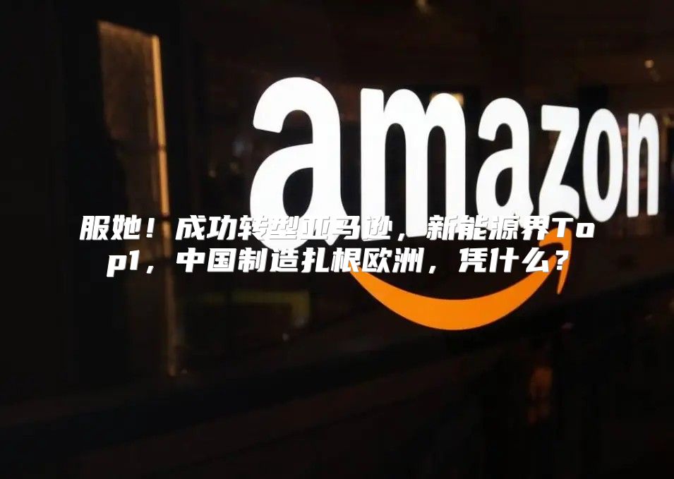 服她！成功转型亚马逊，新能源界Top1，中国制造扎根欧洲，凭什么？