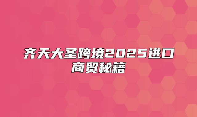 齐天大圣跨境2025进口商贸秘籍