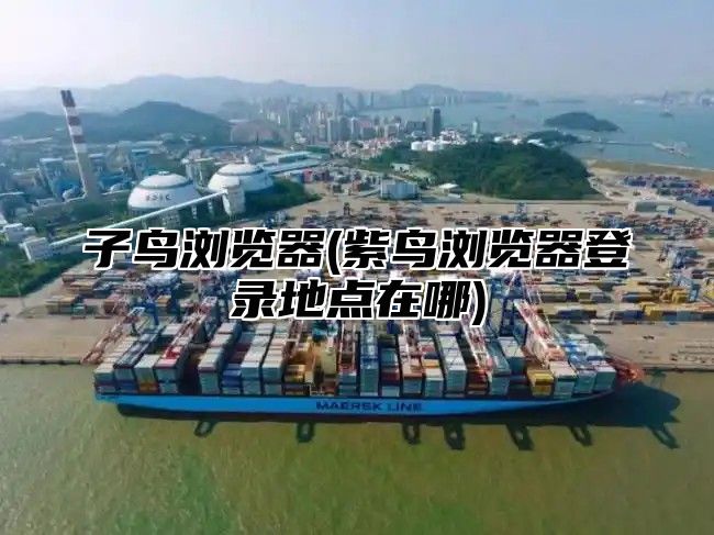 子鸟浏览器(紫鸟浏览器登录地点在哪)