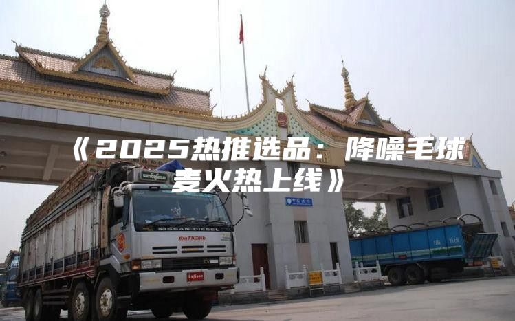 2025热推选品：降噪毛球麦火热上线