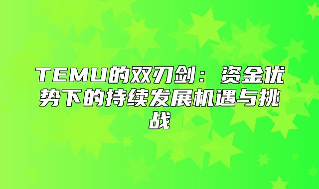 TEMU的双刃剑：资金优势下的持续发展机遇与挑战