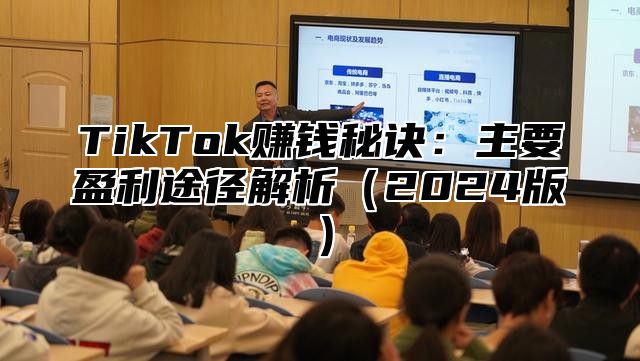 TikTok赚钱秘诀：主要盈利途径解析2025版
