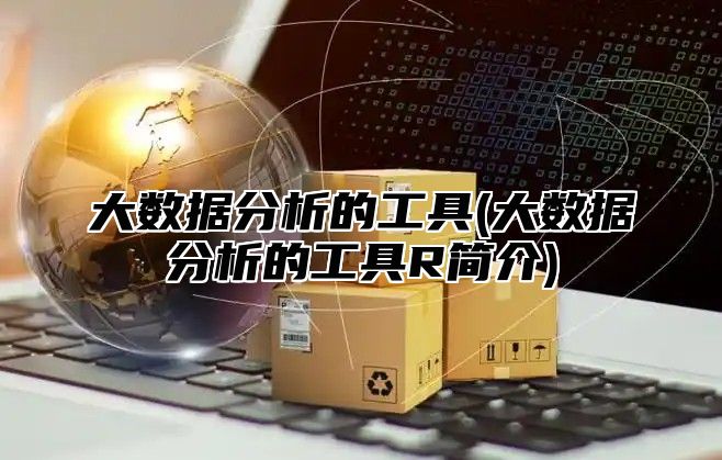 大数据分析的工具(大数据分析的工具R简介)