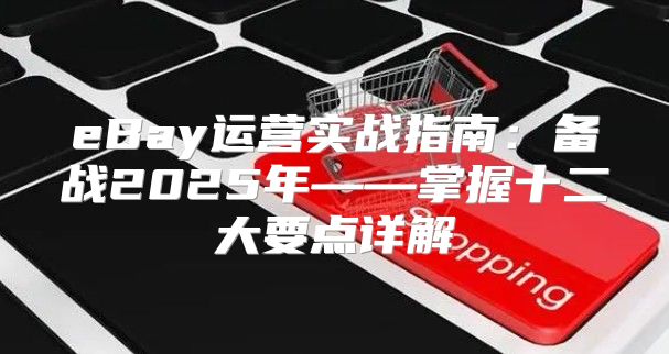 eBay运营实战指南：备战2025年——掌握十二大要点详解