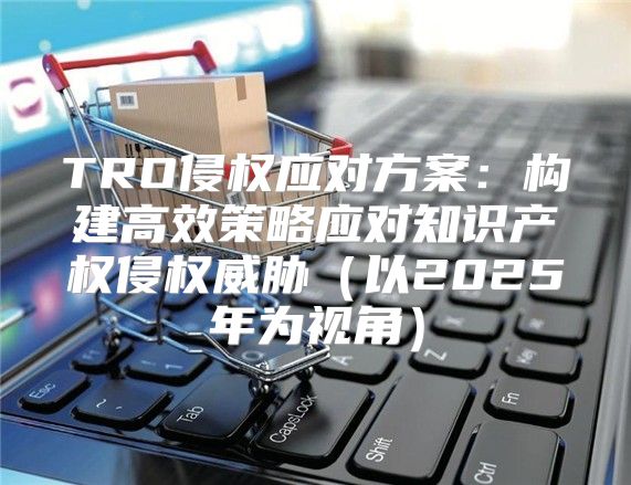TRO侵权应对方案：构建高效策略应对知识产权侵权威胁以2025年为视角