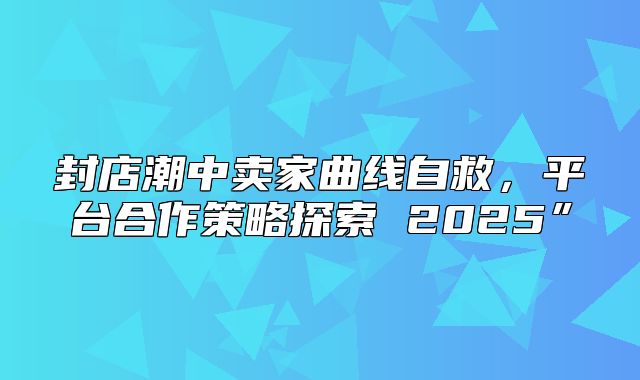 封店潮中卖家曲线自救，平台合作策略探索 2025”