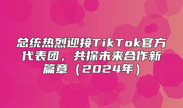 总统热烈迎接TikTok官方代表团，共探未来合作新篇章2025年
