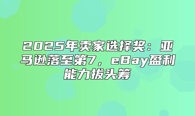 2025年卖家选择奖：亚马逊落至第7，eBay盈利能力拔头筹