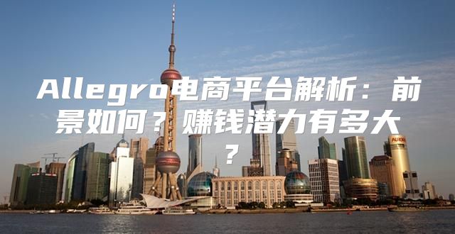 Allegro电商平台解析：前景如何？赚钱潜力有多大？