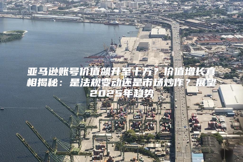 亚马逊账号价值飙升至十万？价值增长真相揭秘：是法规变动还是市场炒作？展望2025年趋势