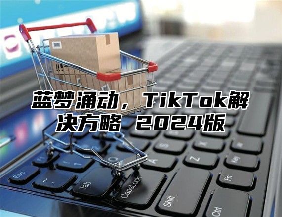 蓝梦涌动，TikTok解决方略 2025版