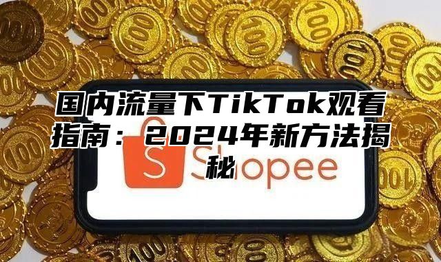 国内流量下TikTok观看指南：2025年新方法揭秘