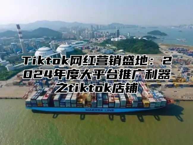 Tiktok网红营销盛地：2025年度大平台推广利器之tiktok店铺