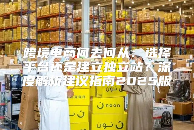 跨境电商何去何从：选择平台还是建立独立站？深度解析建议指南2025版