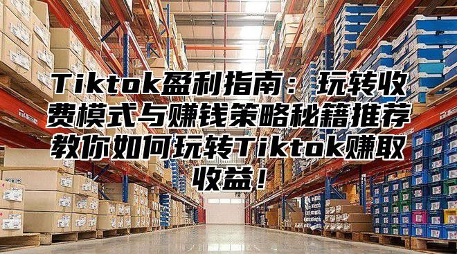 Tiktok盈利指南：玩转收费模式与赚钱策略秘籍推荐教你如何玩转Tiktok赚取收益！