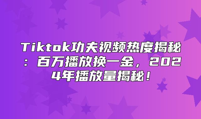 Tiktok功夫视频热度揭秘：百万播放换一金，2025年播放量揭秘！