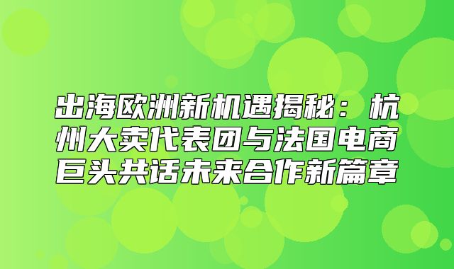出海欧洲新机遇揭秘：杭州大卖代表团与法国电商巨头共话未来合作新篇章