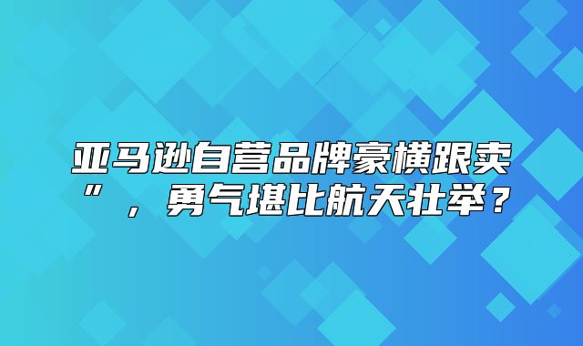 亚马逊自营品牌豪横跟卖”，勇气堪比航天壮举？