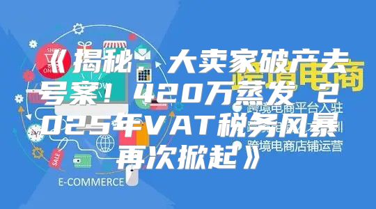 揭秘：大卖家破产去号案！420万蒸发2025年VAT税务风暴再次掀起