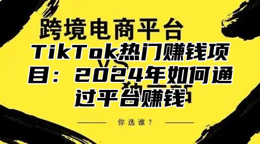 TikTok热门赚钱项目：2025年如何通过平台赚钱