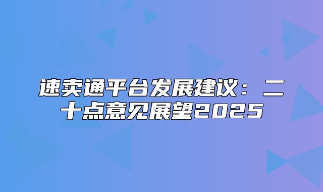 速卖通平台发展建议：二十点意见展望2025