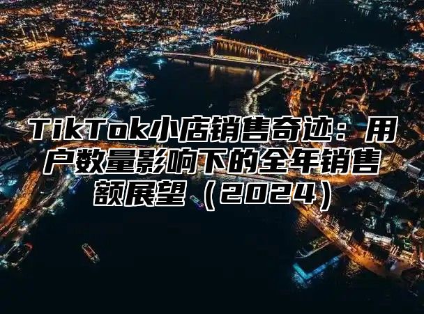 TikTok小店销售奇迹：用户数量影响下的全年销售额展望2025