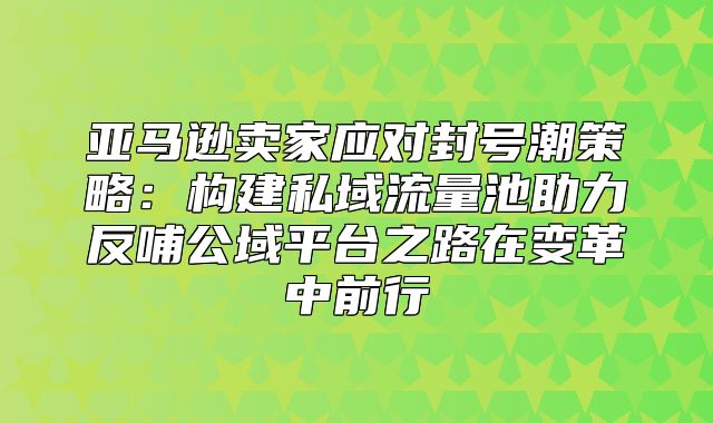 亚马逊卖家应对封号潮策略：构建私域流量池助力反哺公域平台之路在变革中前行