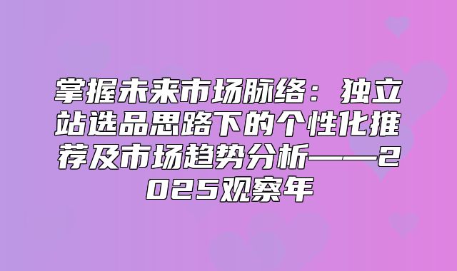 掌握未来市场脉络：独立站选品思路下的个性化推荐及市场趋势分析——2025观察年