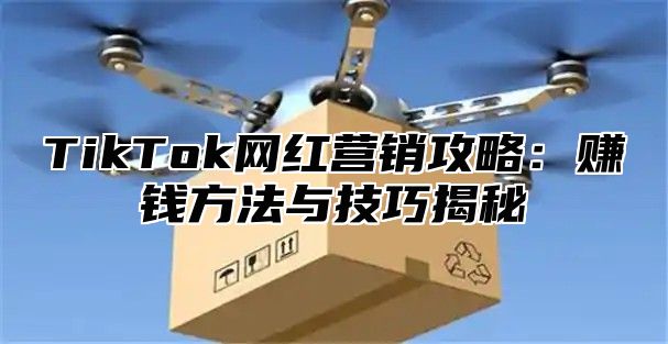TikTok网红营销攻略：赚钱方法与技巧揭秘