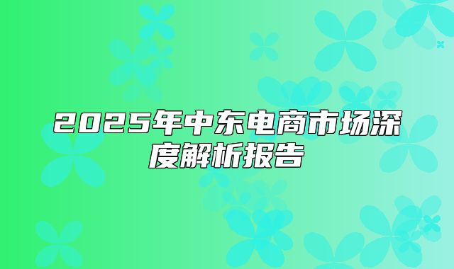 2025年中东电商市场深度解析报告